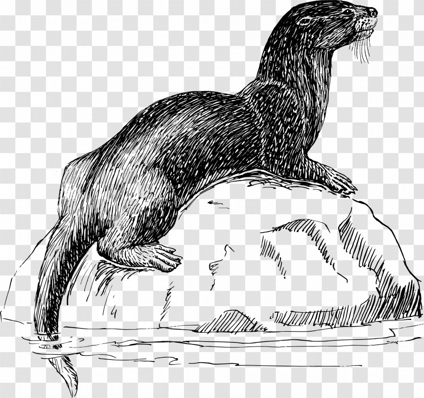 Sea Otter T-shirt Mug Weasels - Fictional Character Transparent PNG