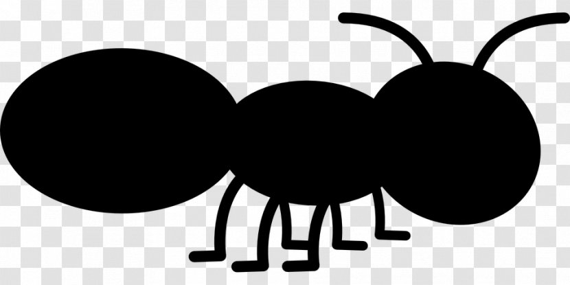 Clip Art Ant Free Content Insect Graphics - Net - Pest Transparent PNG