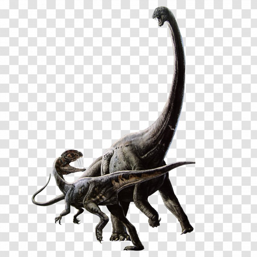Tyrannosaurus Dinosaur Play - Pterosaurs Transparent PNG