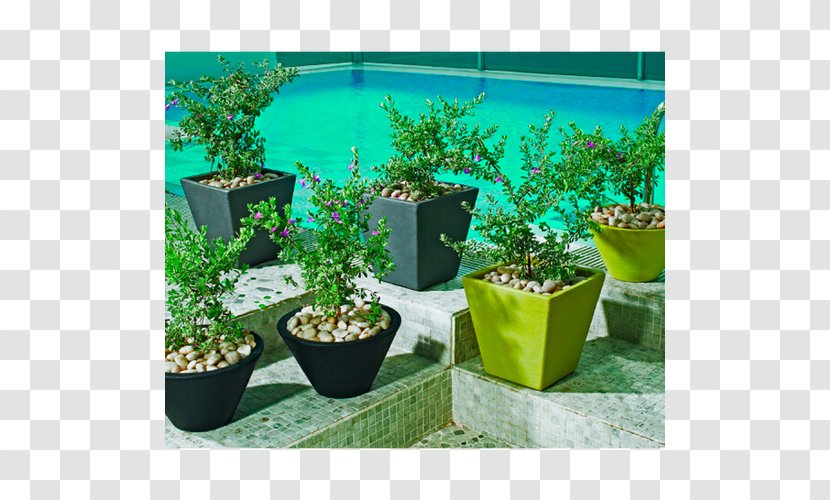 Flowerpot Houseplant Postural Orthostatic Tachycardia Syndrome Terracotta - Aluminium - Planters Transparent PNG