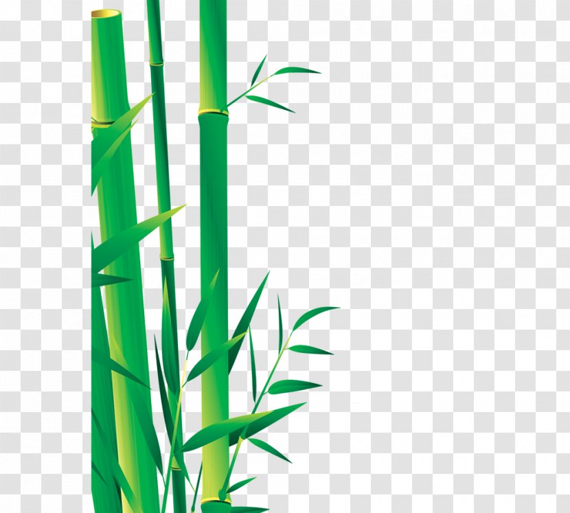 Bamboo Bamboe Icon - Grass Transparent PNG