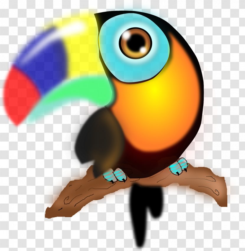 Colombia Parrot Toucan Clip Art - Piciformes Transparent PNG