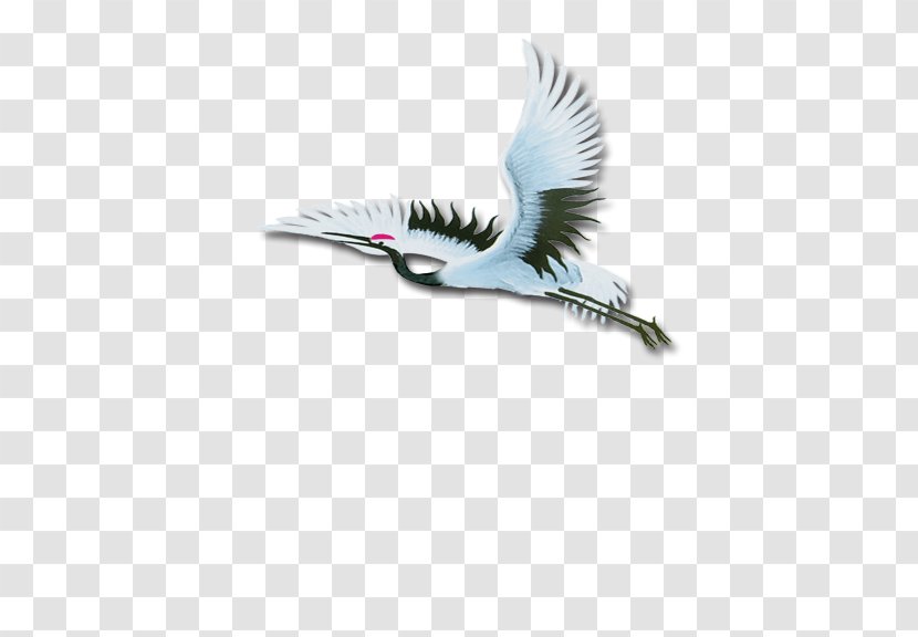 Crane Download Icon - Wing Transparent PNG