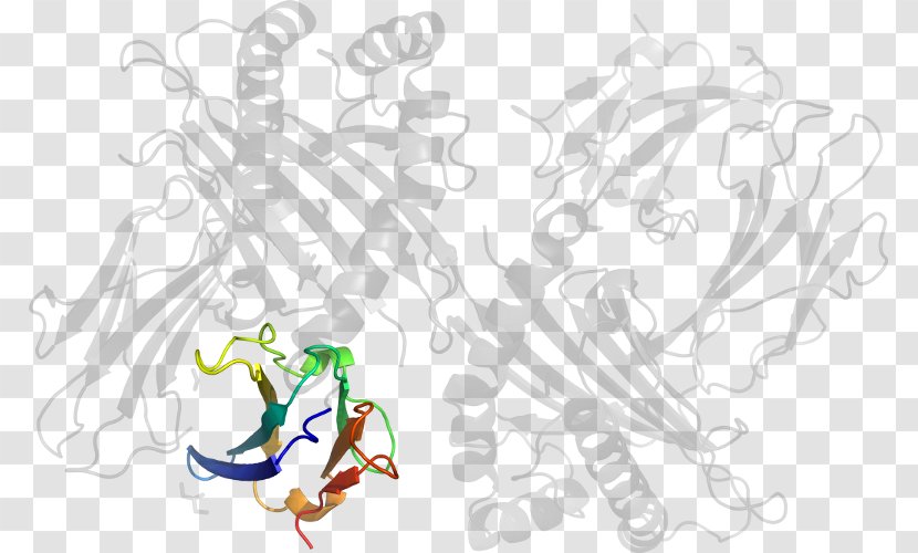 Drawing Line Art Graphic Design Clip - Tree - Beta2 Microglobulin Transparent PNG