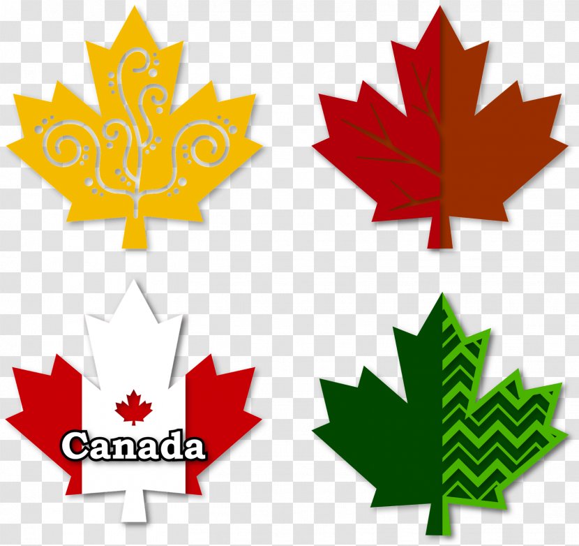 Flag Of Canada Maple Leaf - Woody Plant Transparent PNG
