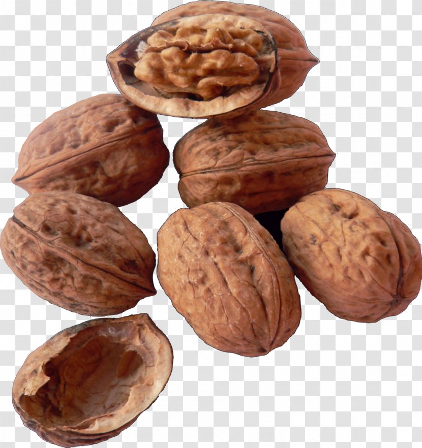 Walnut Dried Fruit Nuts - Ingredient Transparent PNG