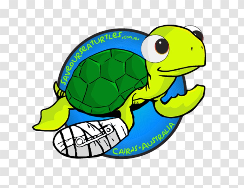Great Barrier Reef Cairns Sea Turtle Conservancy Reptile - Nonprofit Organisation - Decals Transparent PNG