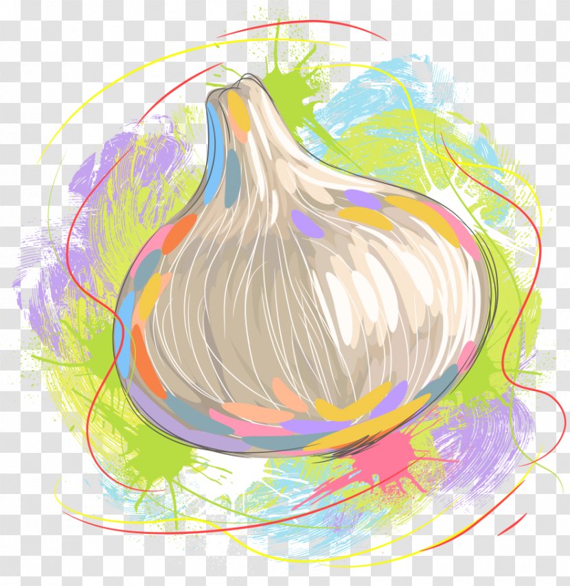Garlic Vegetable Illustration - Art - Vector Painted Transparent PNG