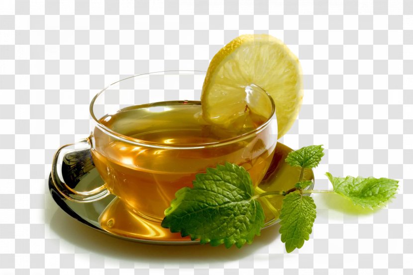 Maghrebi Mint Tea Spearmint Drink Food - Cocktail Garnish - Cup Transparent PNG