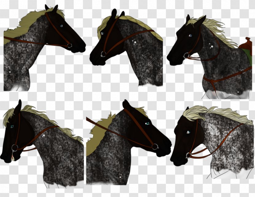 Mustang Stallion Mane Horse Tack Freikörperkultur - Barrel Racing Transparent PNG