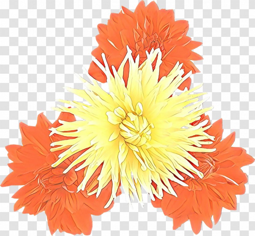 Chrysanthemum Cut Flowers Tulip Clip Art - Petal - Yellow Transparent PNG