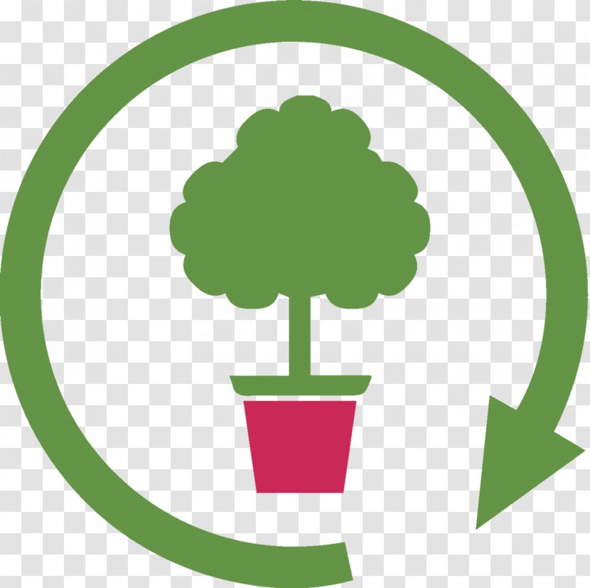 CasaOggiServizi Roma Tree Tilia Cordata Soil Cleaning - Leaf - Plant Cycle Transparent PNG