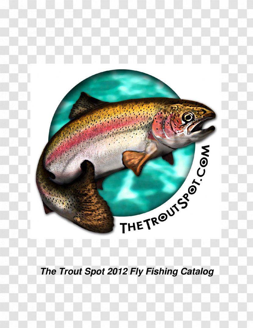 The Trout Spot Fly Fishing Recreational Artificial - Fish Products Transparent PNG