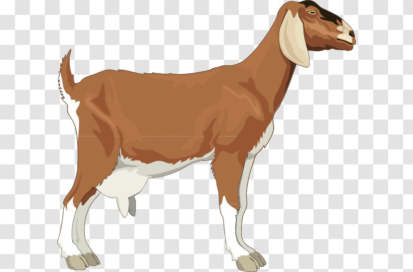 Boer Goat Sheep Clip Art - Mountain - Pictures For Children Transparent PNG