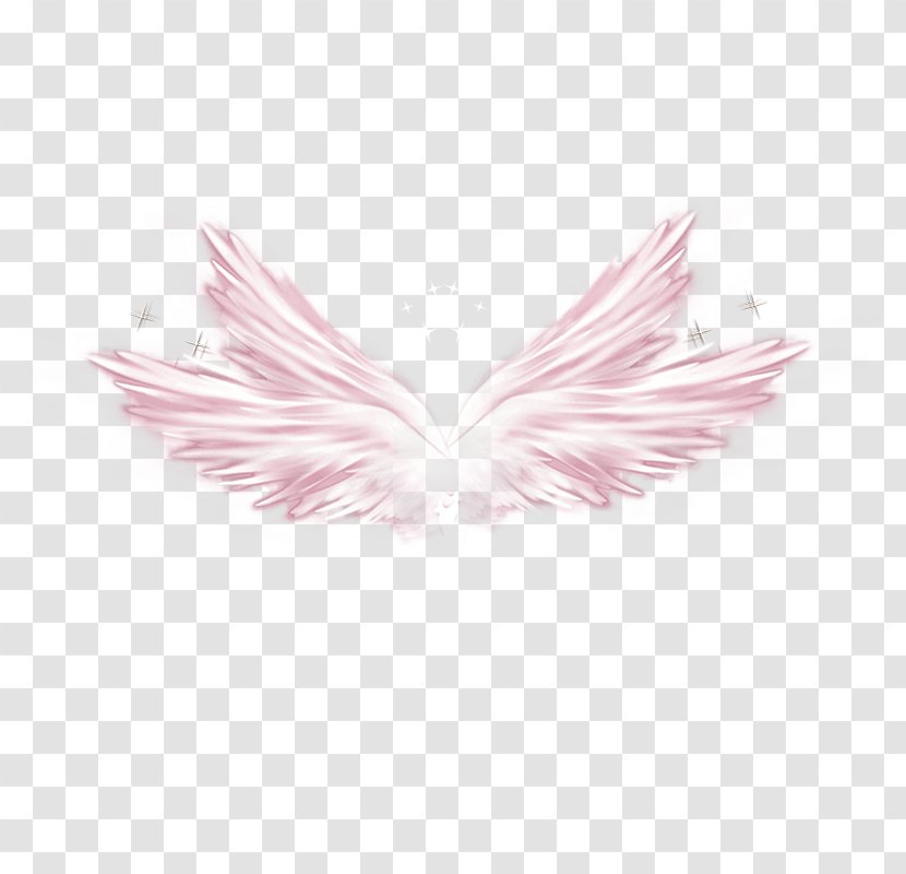Wing Elements, Hong Kong Download Clip Art - Twinkle Little Star - Pink Wings Transparent PNG