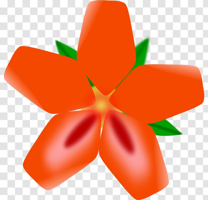 Hawaii Drawing Flower Clip Art - Battle Droids Cliparts Transparent PNG