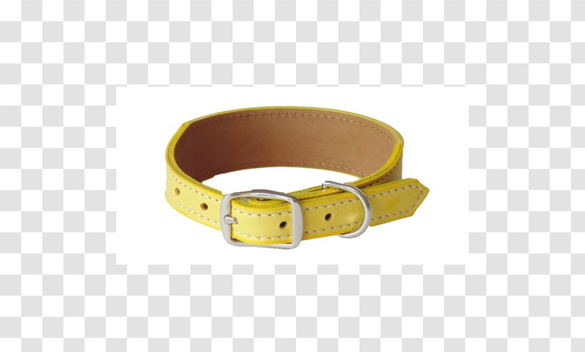 Belt Buckles Strap - Collar - Yellow Dog Transparent PNG