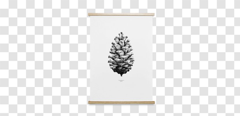 Poster Conifer Cone Coulter Pine Art - Leaf - Design Transparent PNG