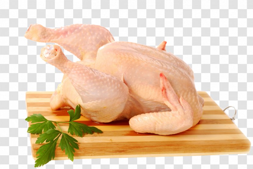 Raw Foodism Chicken As Food Meat - Drunken Transparent PNG