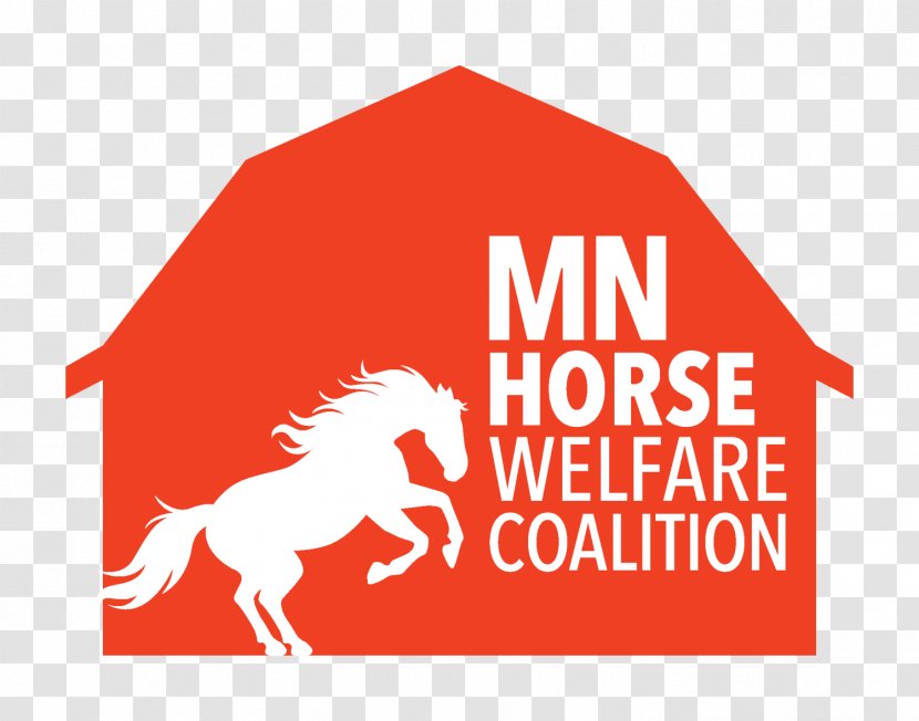 Minnesota Horse Welfare Coalition Nobles County, Organization Stillwater - Neglect Transparent PNG