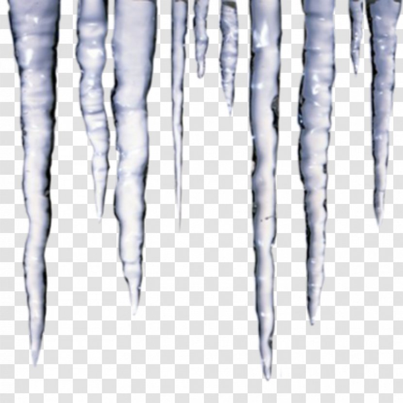 Icicle Clip Art - Tree Transparent PNG