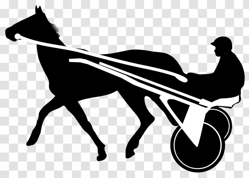 Horse Trot Harness Racing Clip Art - Monochrome Photography - Race Transparent PNG