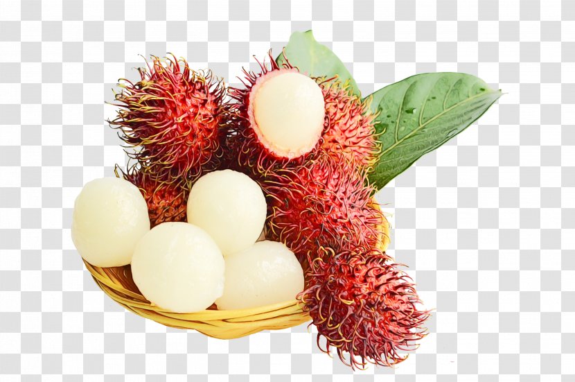 Pineapple Cartoon - Food - Pulasan Plant Transparent PNG