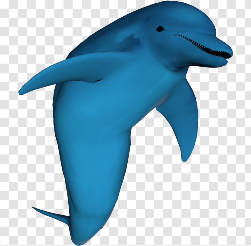 Whale Cartoon - Longbeaked Common Dolphin - Blue Dolphins Transparent PNG