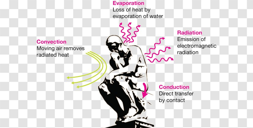 Heat Transfer Thermal Conduction Human Body Energy - Silhouette - Examples Of Radiation Transparent PNG
