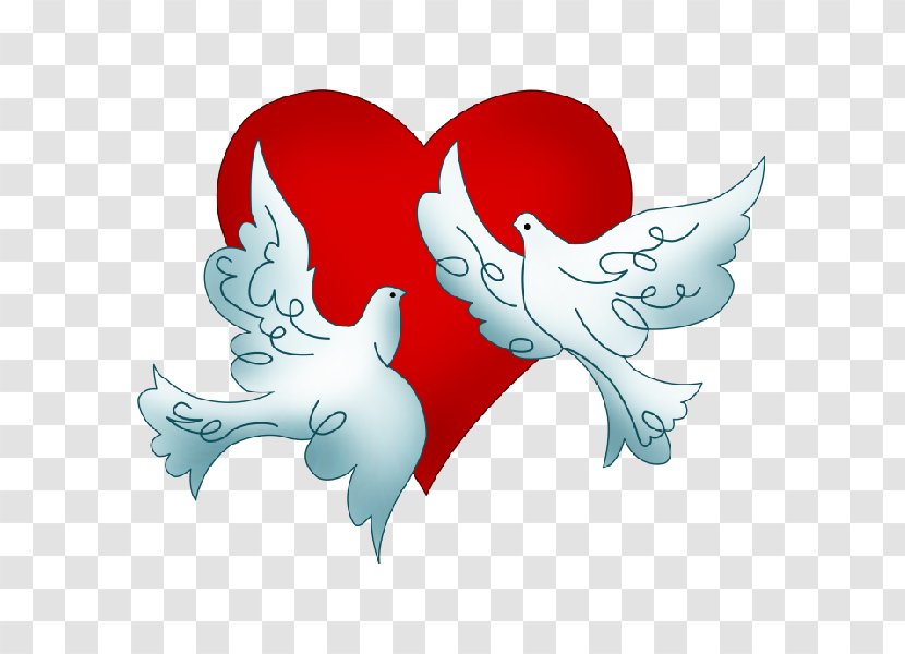 Columbidae Wedding Doves As Symbols Clip Art - Cartoon - DOVE Transparent PNG