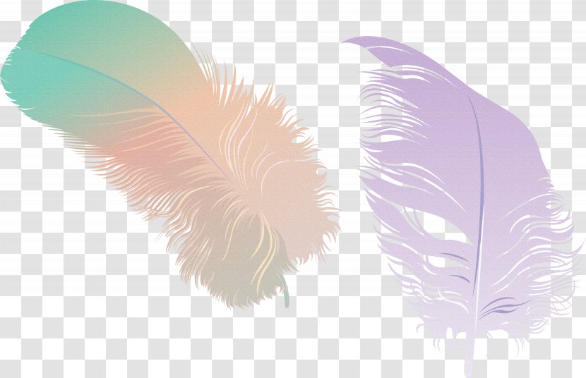 Feather - Rose - Purple Transparent PNG