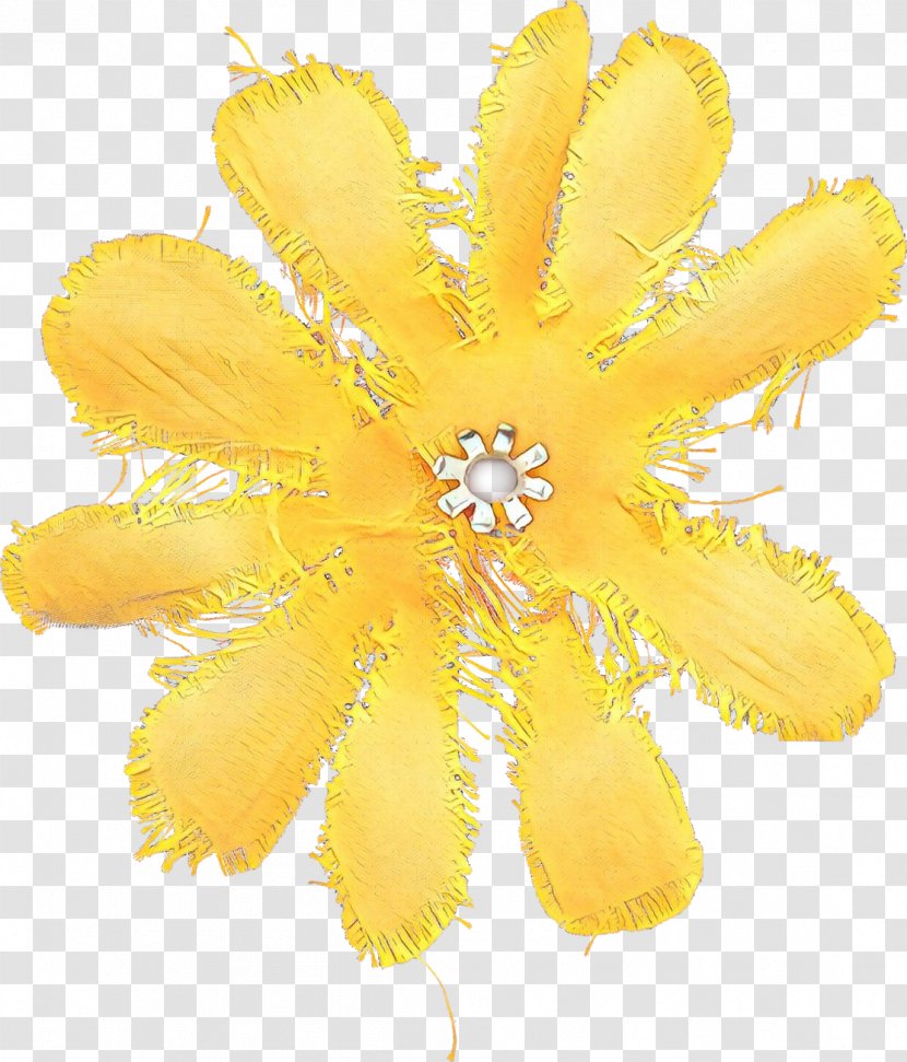 Yellow Flower Plant Petal Fashion Accessory - Wildflower Transparent PNG