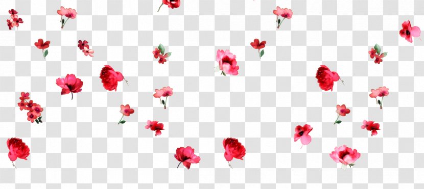 Petal Flower Valentine's Day Love Floral Design - Heart Transparent PNG