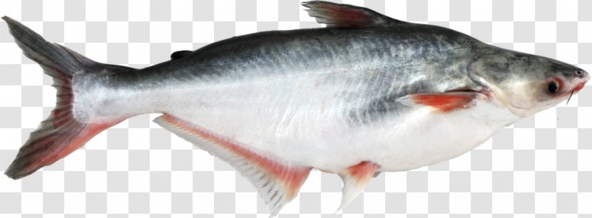 Iridescent Shark Basa Fish Finger Seafood - Food Transparent PNG
