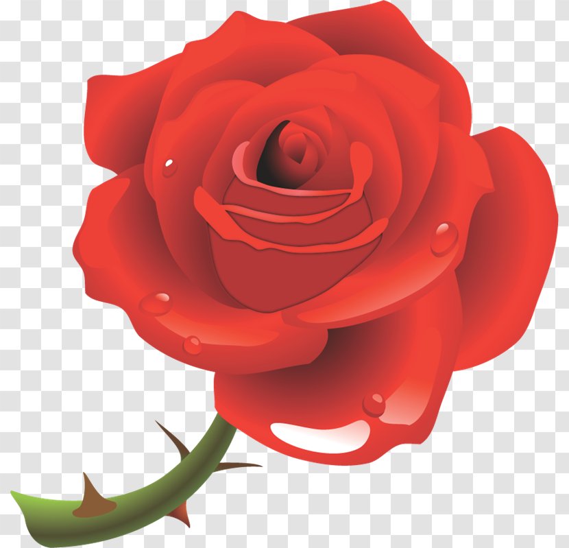 Garden Roses Flower Clip Art - Rose Family - Idea Transparent PNG