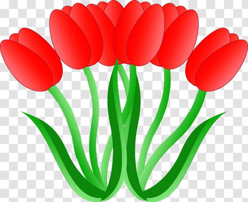 Tulip Cross-stitch Embroidery Sewing - Seed Plant Transparent PNG