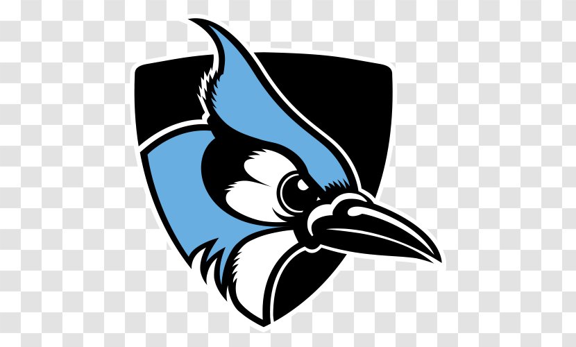 Johns Hopkins Blue Jays Football University Men's Lacrosse Women's Washington College - Ncaa Division Iii Transparent PNG