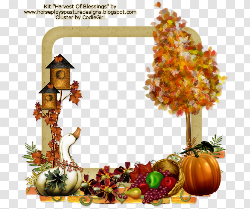 Pumpkin Gourd Thanksgiving Orange S.A. - Sa Transparent PNG