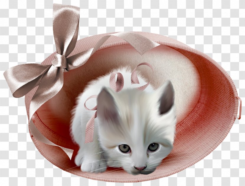 Pink Cat Animation Blingee - Like Mammal - Cats Transparent PNG