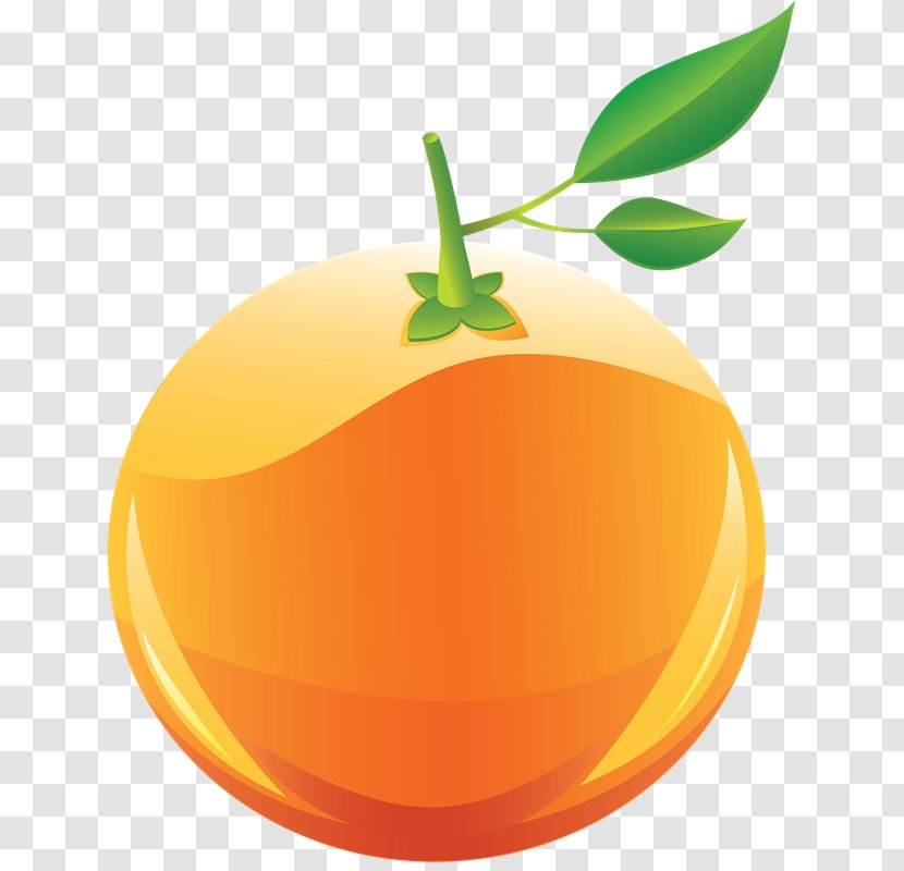 Orange Fruit Clip Art Transparent PNG
