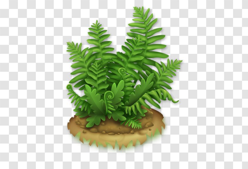 Hay Day Wikia - Plant - Fern Transparent PNG