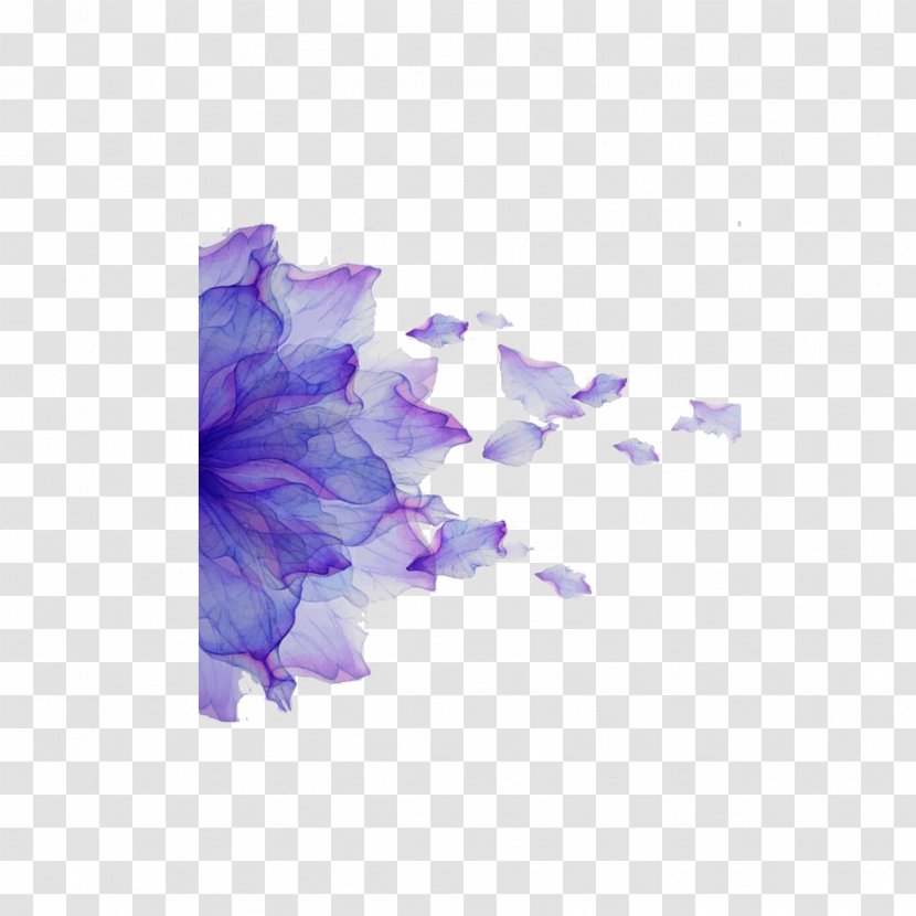 Watercolor Painting Illustration - Flower - Purple Background Transparent PNG