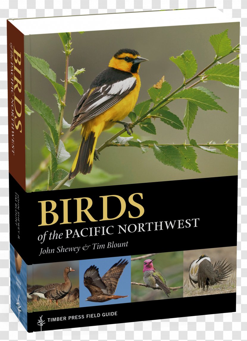 Birds Of The Pacific Northwest: Timber Press Field Guide Fly Fishing For Summer Steelhead - Birdwatching - Bird Transparent PNG