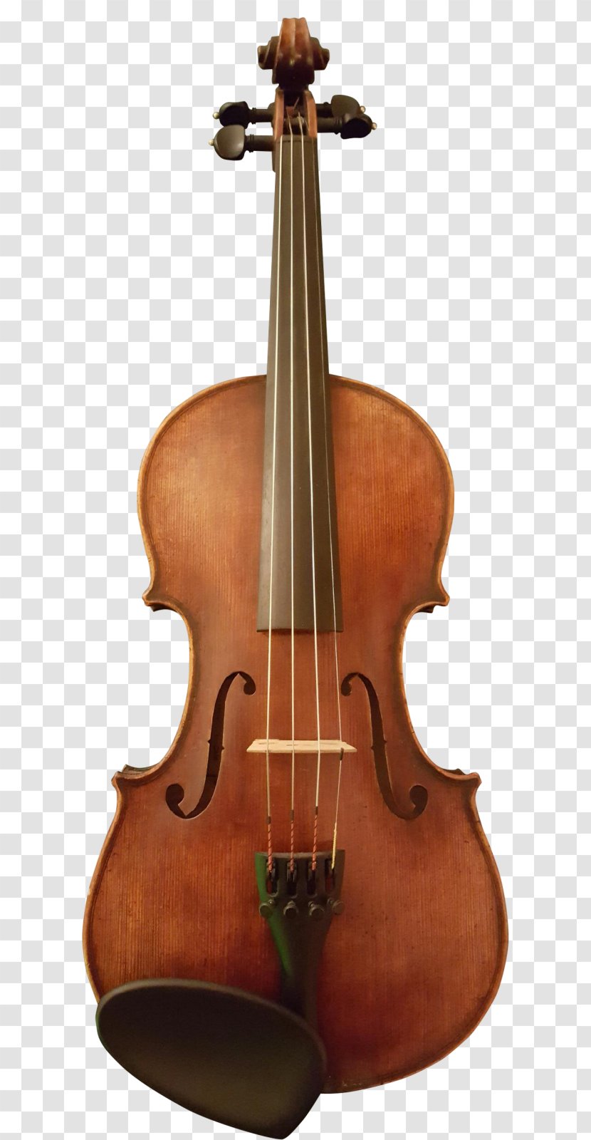 Electric Cello Violin Viola Double Bass - Violist Transparent PNG