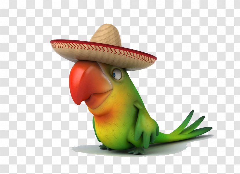Parrot Drawing Royalty-free Stock Illustration - Bird - With A Straw Hat Transparent PNG