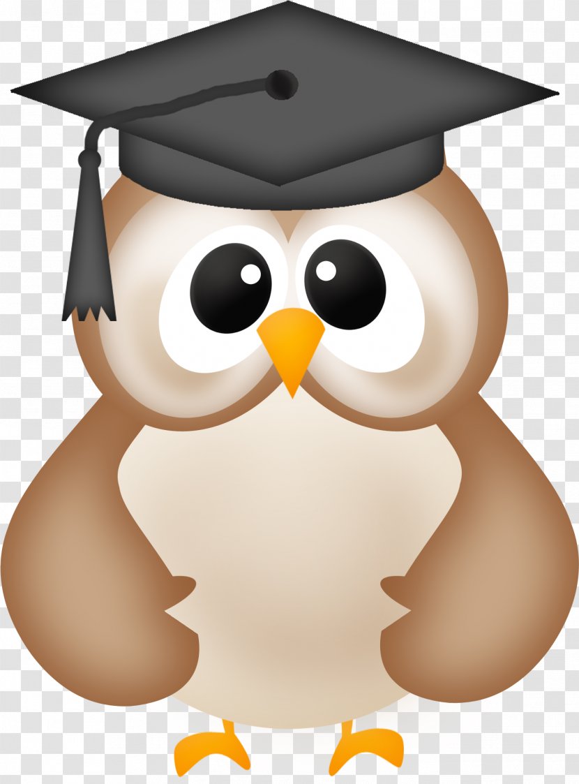 Graduation Ceremony Clip Art Owl Graduate University - Transparent Transparent PNG