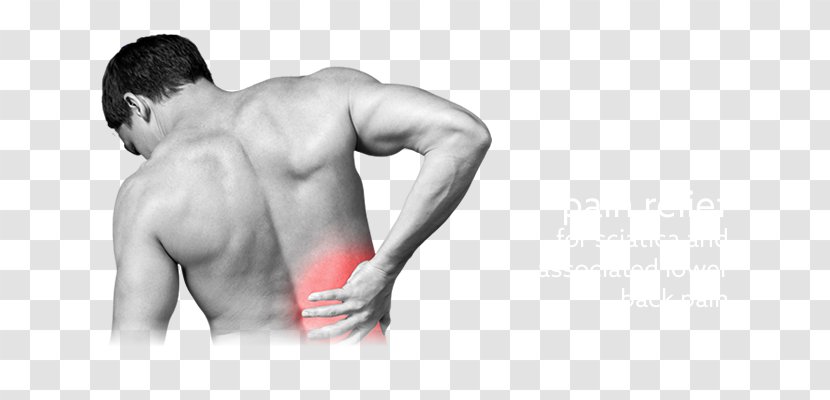 Back Pain Spinal Disc Herniation Abdominal Tenderness Rib Vertebral Column - Heart Transparent PNG