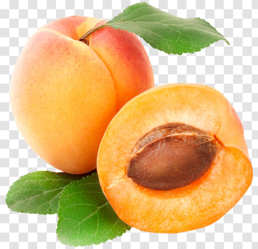 Clip Art Apricot Peach Image - Fruit - Peaches Confetti Bahrain Transparent PNG