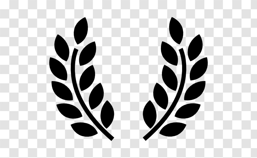 Olive Branch Greek Cuisine Symbol - Wreath Transparent PNG