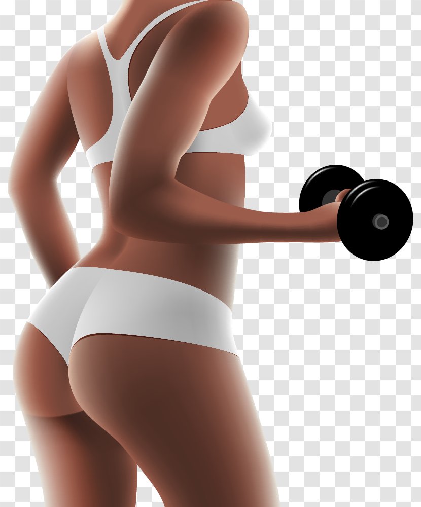Physical Fitness Woman Dumbbell - Tree - Vector Transparent PNG
